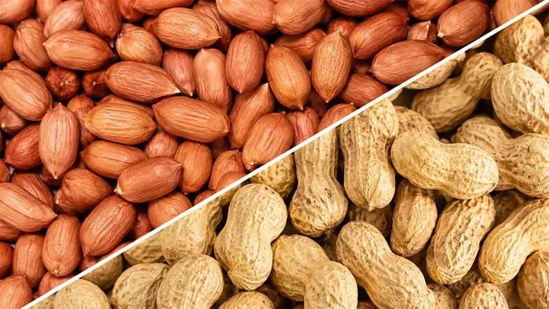 Premium Peanuts Export